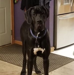 Meet your Posher, Deb